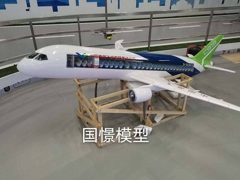 将乐县飞机模型