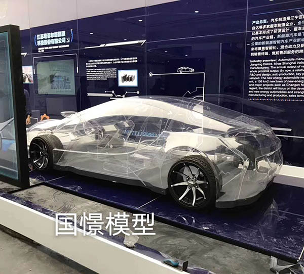 将乐县透明车模型